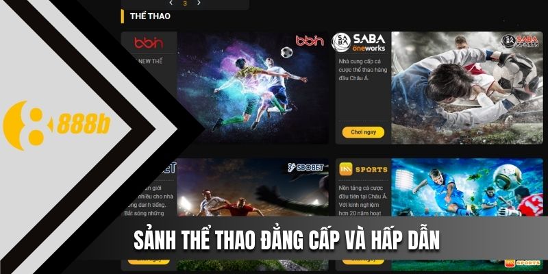 Cá cược thể thao “đỉnh của chóp